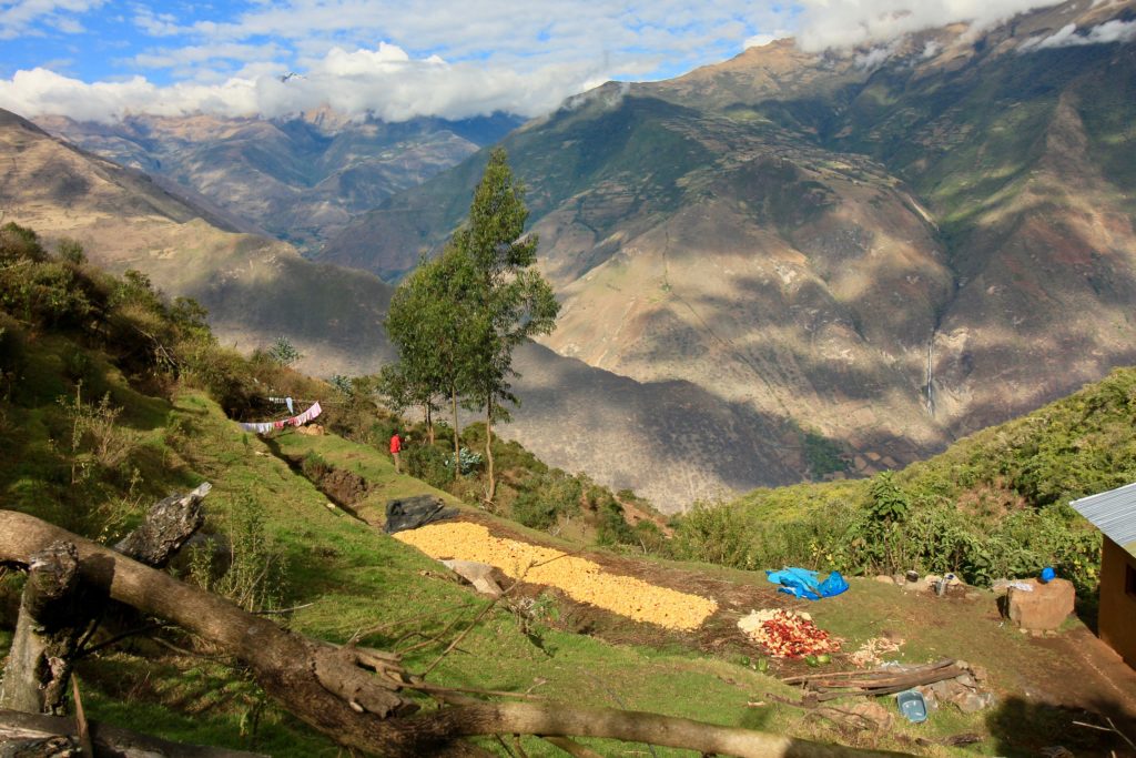 Marampata, village outside of Choquequirao, corn drying