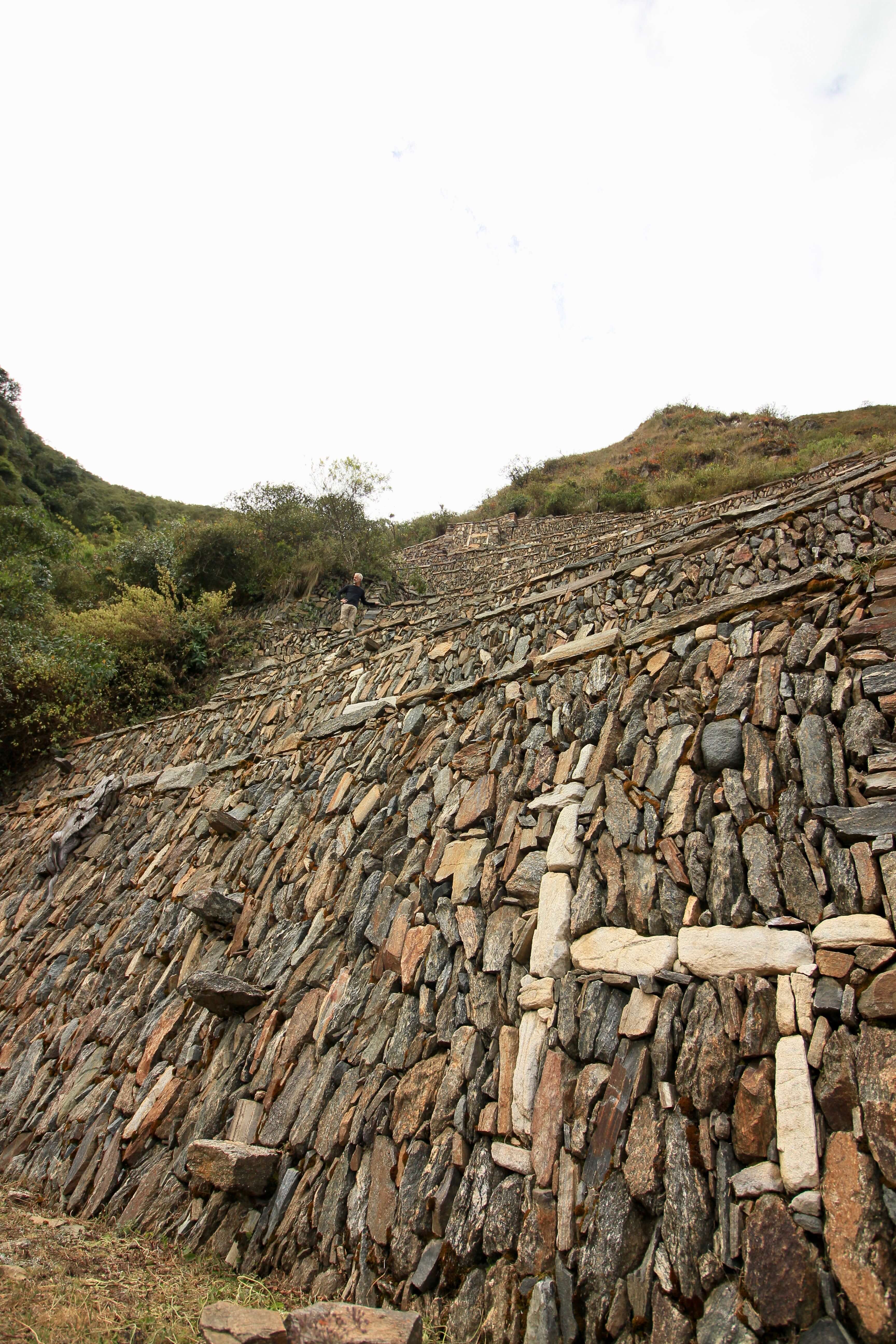 Close-up of white llama terraces