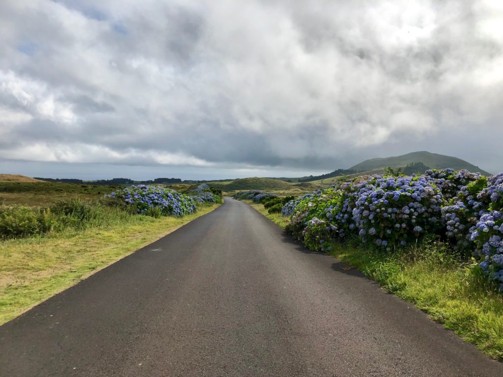 One of many superb drives throughout the Azores