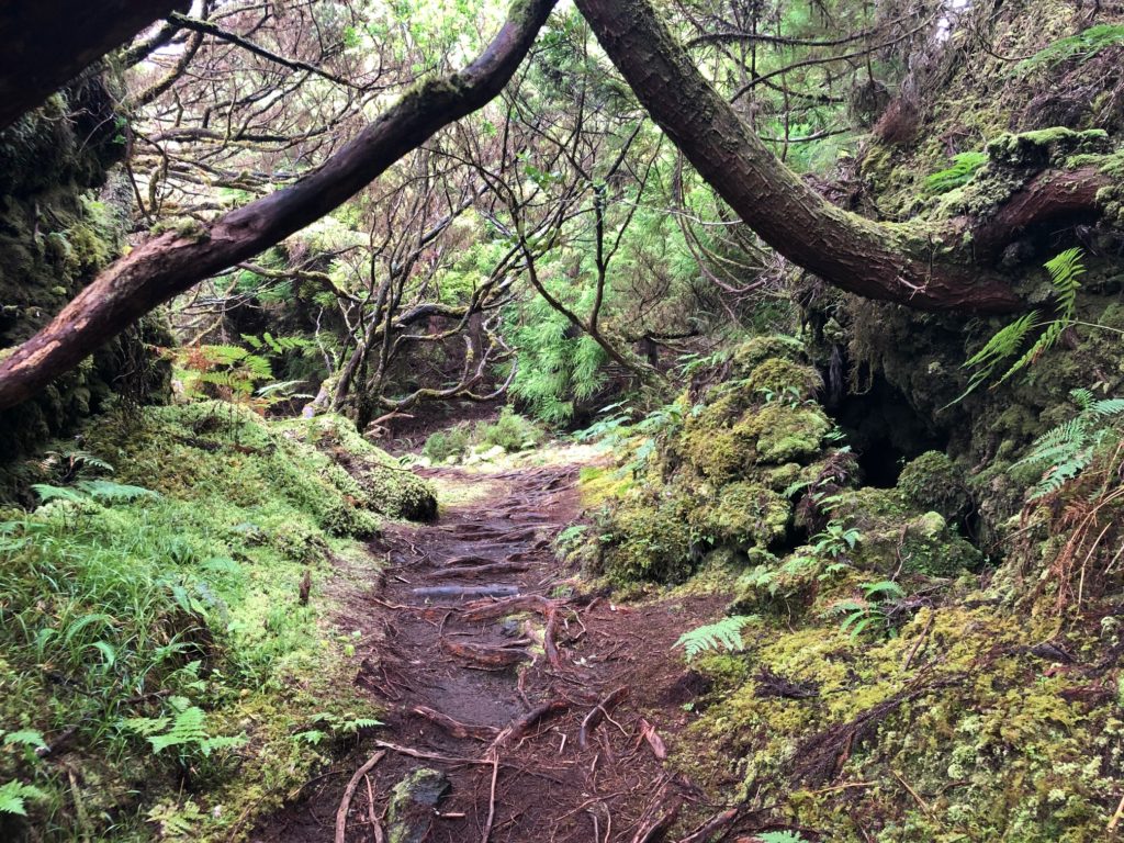 Misterios Negros trail, Terceira