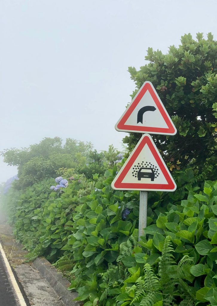 typical road signs