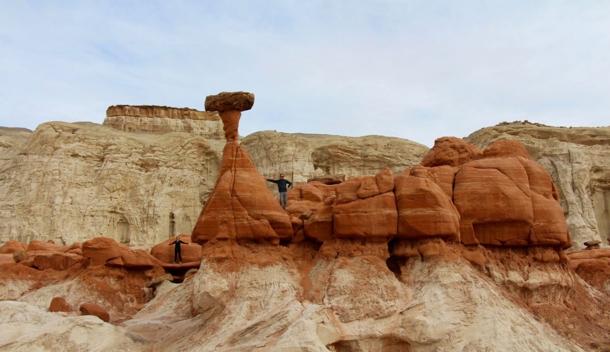 Toadstools, Arizona