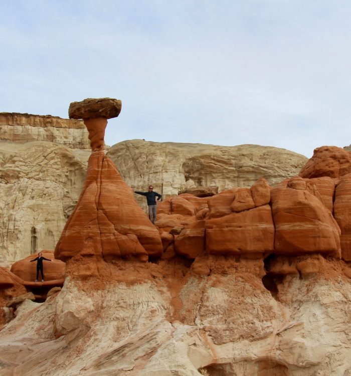 Toadstools, Arizona