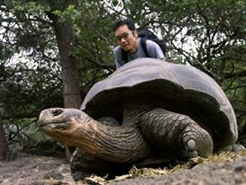 Wayne Ng behind a giant turtle in the Galapagos